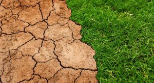 Global Warming Climate Change Soil 