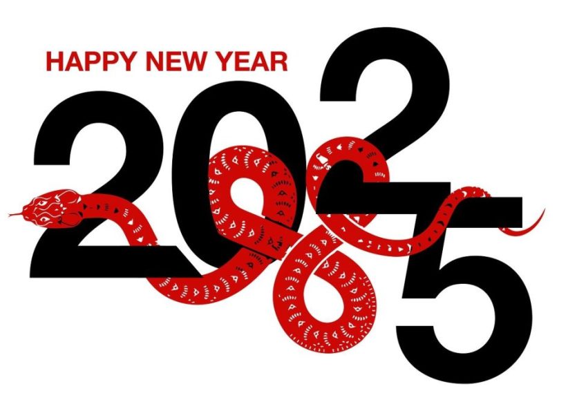 happy new year new year 2025 snake 8816575